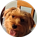 Heidi Pantanowitz profile picture