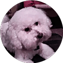 Johnetta Ryan profile picture