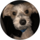 Paul profile picture