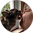 Pam Lunz profile picture