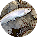 Phil Gryz profile picture